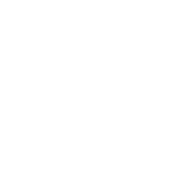 new bonus